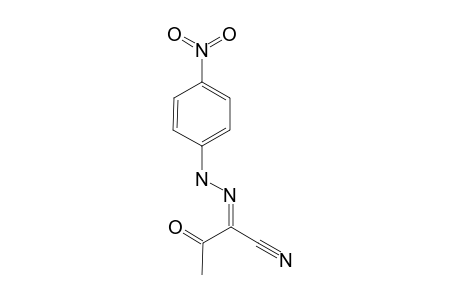 2-(4-NITROPHENYL)-HYDRAZONO-3-OXOBUTANENITRILE