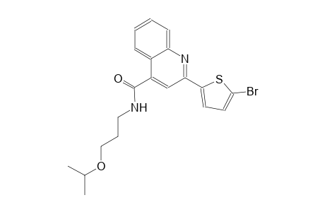4-quinolinecarboxamide, 2-(5-bromo-2-thienyl)-N-[3-(1-methylethoxy)propyl]-