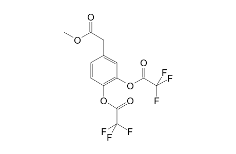 Dihydroxyphenylacetic acid ME2TFA