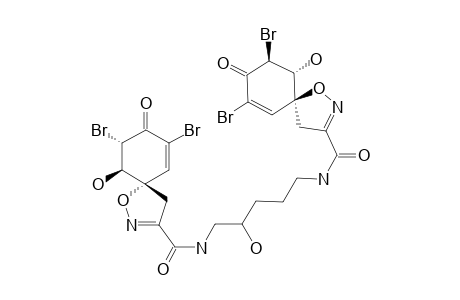 AGELOCAISSARINE-B1