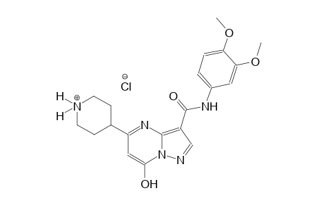 piperidinium, 4-[3-[[(3,4-dimethoxyphenyl)amino]carbonyl]-7-hydroxypyrazolo[1,5-a]pyrimidin-5-yl]-, chloride
