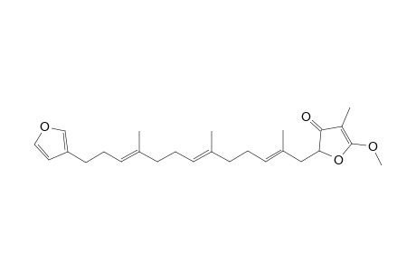 1-(fur-3'-yl)-4,8,12-trimethyl-13-(4'-oxo-3'-methyl-2'-methoxy-4',35-dihydro-fur-5'-yl)-tridec-3,7,11-triene
