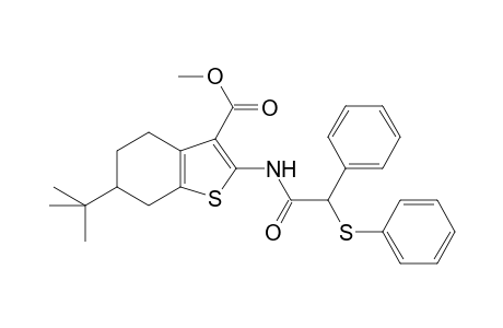 6-tert-Butyl-2-[[1-oxo-2-phenyl-2-(phenylthio)ethyl]amino]-4,5,6,7-tetrahydro-1-benzothiophene-3-carboxylic acid methyl ester