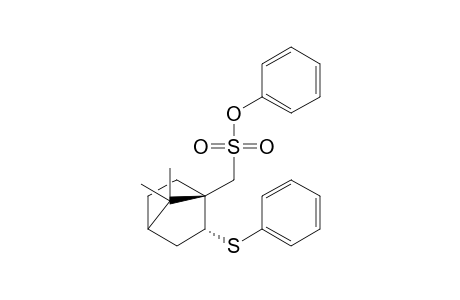 (7,7-Dimethyl-2-exo-phenylsulfanylbicyclo[2.2.1]hept-1-yl)methane sulfonic acid phenyl ester