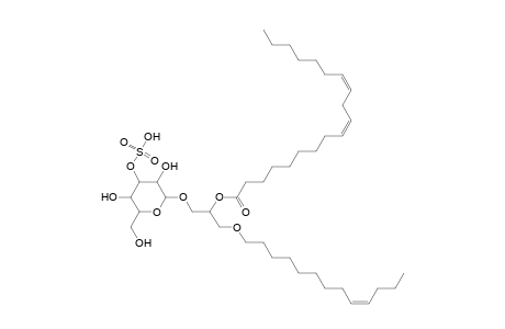 SMGDG O-13:1_19:2