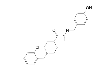 1-(2-chloro-4-fluorobenzyl)-N'-[(E)-(4-hydroxyphenyl)methylidene]-4-piperidinecarbohydrazide
