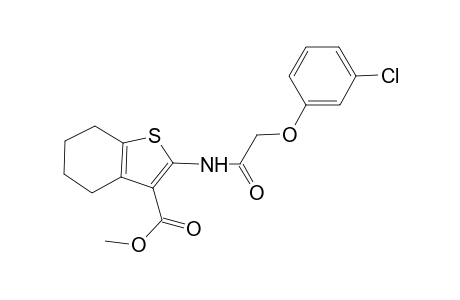 Methyl 2-{[(3-chlorophenoxy)acetyl]amino}-4,5,6,7-tetrahydro-1-benzothiophene-3-carboxylate