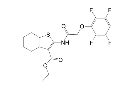 ethyl 2-{[(2,3,5,6-tetrafluorophenoxy)acetyl]amino}-4,5,6,7-tetrahydro-1-benzothiophene-3-carboxylate