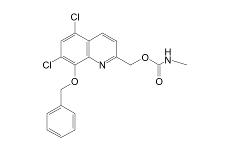 METHYLCARBAMIC ACID, [8-(BENZYLOXY)-5,7-DICHLORO-2-QUINOLYL]METHYL ESTER