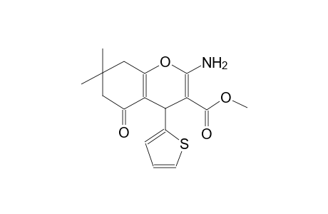 methyl 2-amino-7,7-dimethyl-5-oxo-4-(2-thienyl)-5,6,7,8-tetrahydro-4H-chromene-3-carboxylate