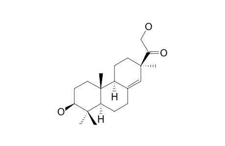 Lonchophylloid B