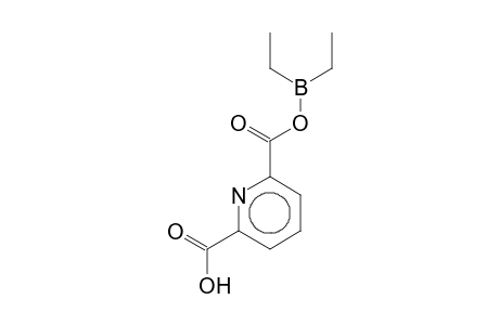 Pyridine-2,6-dicarboxylic acid, diethylboryl ester