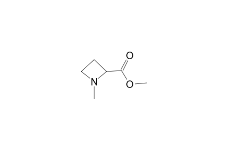 N-Methyl-2-carbomethoxyazetidine