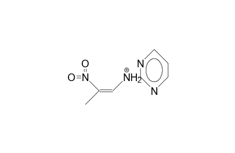 Z-1-(2-Pyrimidinylamino)-2-nitro-propene cation