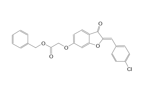 acetic acid, [[(2Z)-2-[(4-chlorophenyl)methylene]-2,3-dihydro-3-oxobenzofuranyl]oxy]-, phenylmethyl ester