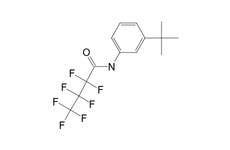 3-(Tert-butyl)aniline, N-heptafluorobutyryl-