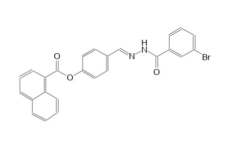 1-naphthalenecarboxylic acid, 4-[(E)-[2-(3-bromobenzoyl)hydrazono]methyl]phenyl ester