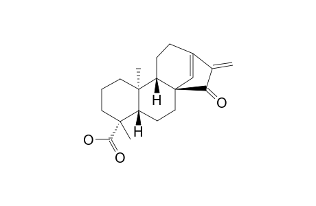 LICAMICHAUXIIOIC_ACID_B;15-OXO-ENT-KAUR-13,16-DIEN-19-OIC_ACID