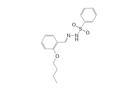 benzenesulfonic acid, 2-[(E)-(2-butoxyphenyl)methylidene]hydrazide