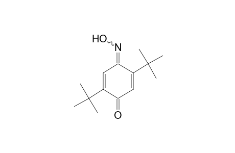 2,5-di-tert-butyl-p-benzoquinone, monooxime