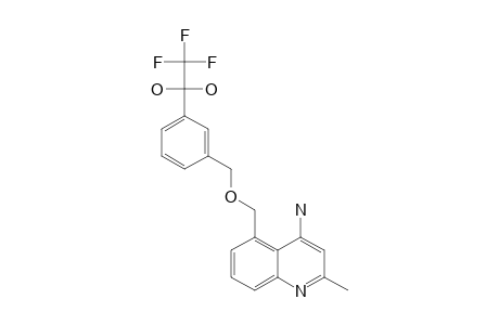 4-AMINO-2-METHYL-3-(3-TRIFLUOROACETYLBENZYLOXYMETHYL)-QUINOLINE;HYDRATED-KETONE