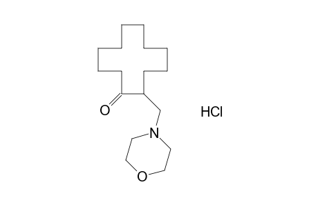 2-(MORPHOLINOMETHYL)CYCLODODECANONE, HYDROCHLORIDE