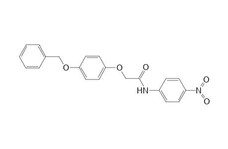 2-(4-benzoxyphenoxy)-N-(4-nitrophenyl)acetamide