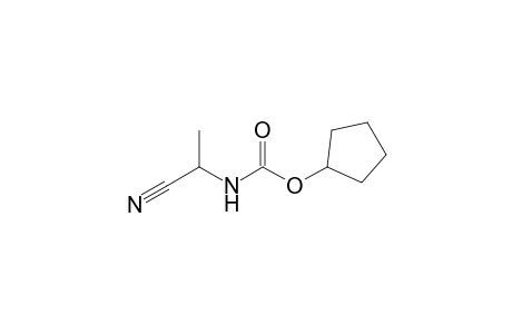 N-(Cyclopentyloxycarbonyl)-DL-alaninenitrile