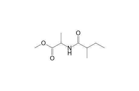2-(2-Methylbutanoylamino)propionic acid methyl ester