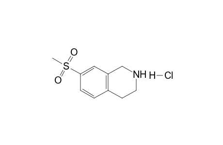 7-Methylsulfonyl-1,2,3,4-tetrahydroisoquinoline hydrochloride