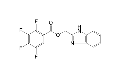 1H-benzimidazol-2-ylmethyl 2,3,4,5-tetrafluorobenzoate