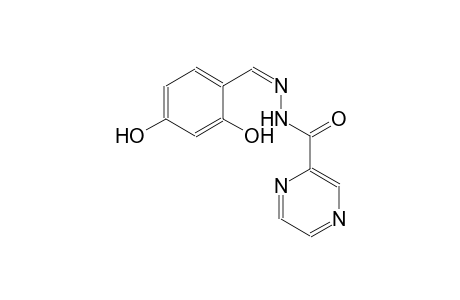2-pyrazinecarboxylic acid, 2-[(Z)-(2,4-dihydroxyphenyl)methylidene]hydrazide