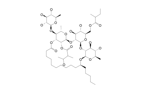 ORIZABIN-VI