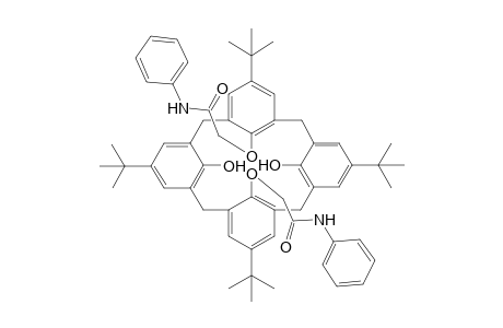 5,11,17,32-Tetra-tert-butyl-25,27-dihydroxy-26,28-bis(phenylcarbamoylmethyloxy)calix[4]arene