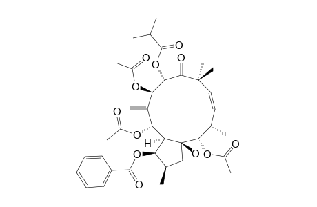 (2S*,3S*,4R*,5R*,7S*,8R*,13R*,14R*,15R*)-5,7,14-TRIACETOXY-3-BENZOYLOXY-8-ISOBUTYROYL-15-HYDROXY-9-OXOJATROPHA-6(17),11-DIENE