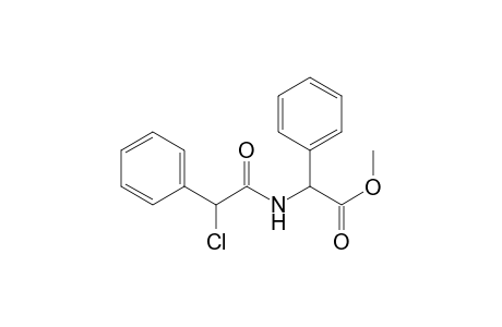 Methyl ester of Phenylglycine .alpha.-chlorophenylacetamide