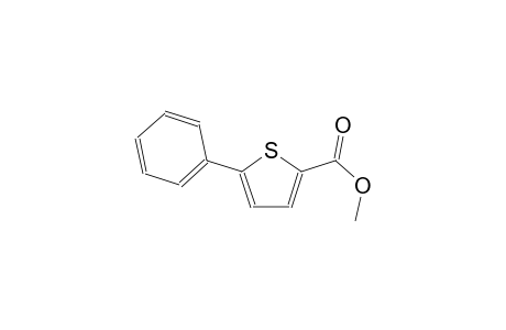 2-thiophenecarboxylic acid, 5-phenyl-, methyl ester
