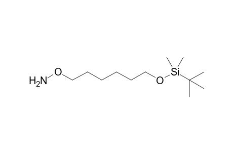 N-{6'-[(1",1"-Dimethylethyl)dimethylsilyloxy]hexyloxy}amine