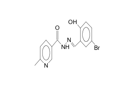 N'-(2-hydroxy-5-bromobenzylidene)-6-methylnicotinic hydrazide