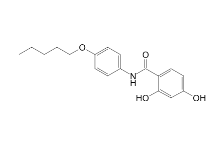 Benzamide, 2,4-dihydroxy-N-[4-(pentyloxy)phenyl]-