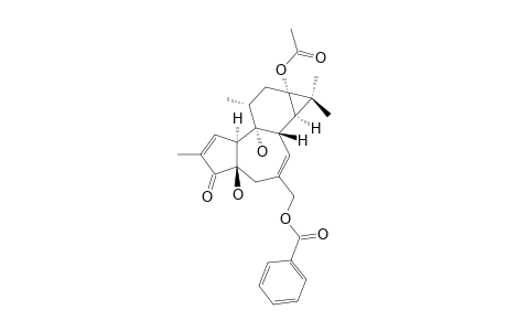 13-O-Acetyl-20-O-benzoyl-12-deoxyphorbol