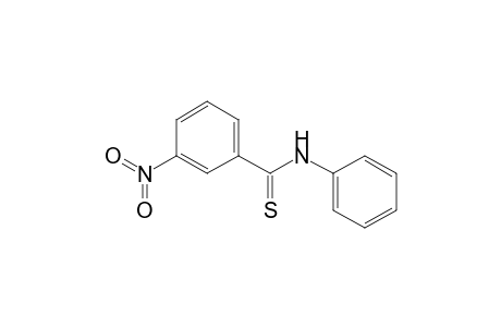 3-Nitro-N-phenyl-benzenecarbothioamide