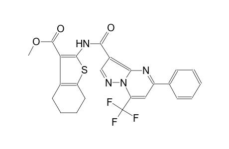 methyl 2-({[5-phenyl-7-(trifluoromethyl)pyrazolo[1,5-a]pyrimidin-3-yl]carbonyl}amino)-4,5,6,7-tetrahydro-1-benzothiophene-3-carboxylate