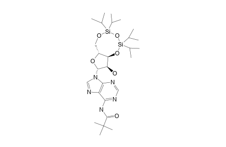 6-N-PIVALOYL-3',5'-O-(TETRAISOPROPYL-DISILOXANE-1,3-DIYL)-ADENOSINE