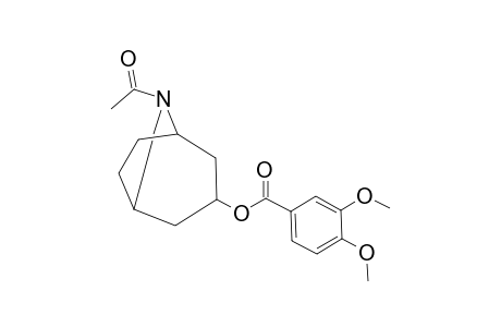 3,4-Dimethoxy-benzoic acid 8-acetyl-8-aza-bicyclo[3.2.1]oct-3-yl ester