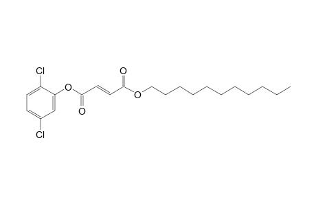 Fumaric acid, 2,5-dichlorophenyl undecyl ester