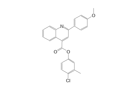 4-chloro-3-methylphenyl 2-(4-methoxyphenyl)-4-quinolinecarboxylate