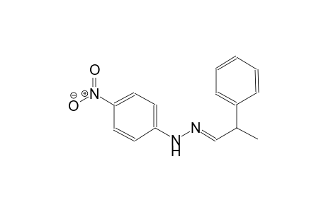 benzeneacetaldehyde, alpha-methyl-, (4-nitrophenyl)hydrazone