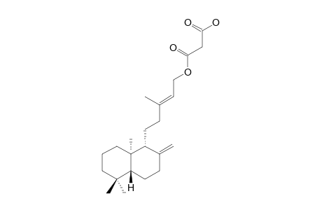 ENT-LABDA-8(17),13-DIEN-15-YL-HYDROGEN-MALONATE