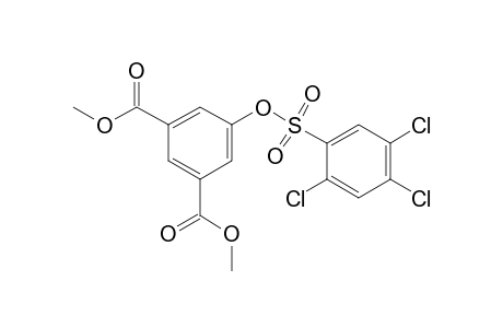 1,3-Benzenedicarboxylic acid, 5-[[(2,4,5-trichlorophenyl)sulfonyl]oxy]-, dimethyl ester